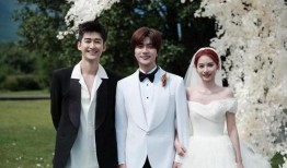 结婚男星爆料视频大全最新,结婚男星爆料视频大全，情感真相大起底