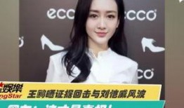 陈晨最新爆料视频大全,揭秘娱乐圈幕后真相